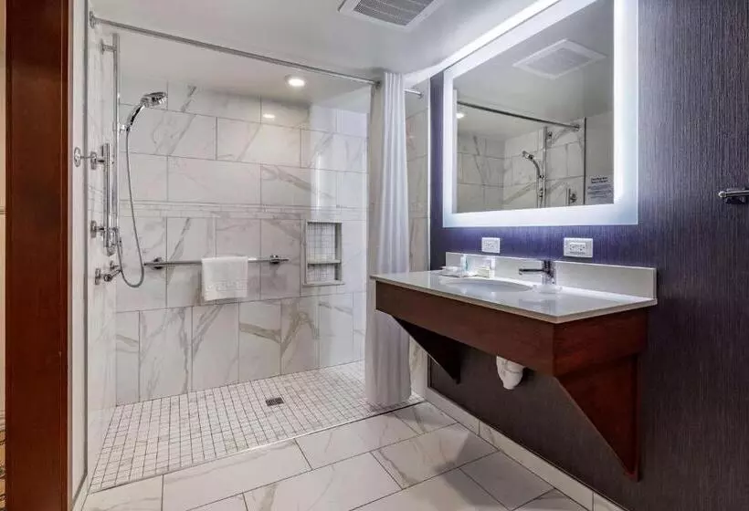 اتاق استاندارد با تخت بزرگ برای معلولان, Best Western Premier Park