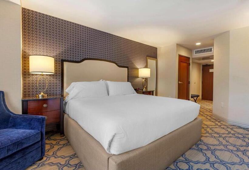 장애인을 위한 킹사이즈 침대 스탠다드 룸, Best Western Premier Park