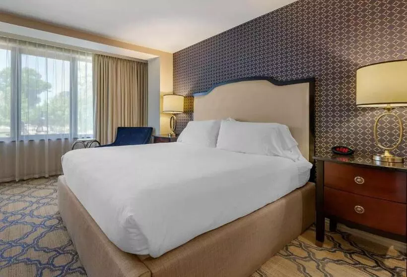 اتاق استاندارد با تخت بزرگ برای معلولان, Best Western Premier Park