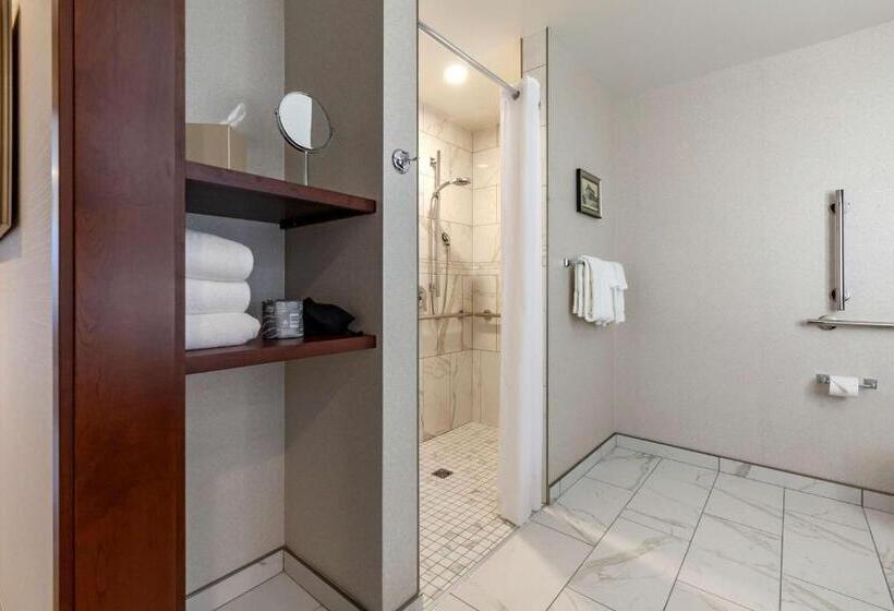 장애인을 위한 스위트, Best Western Premier Park