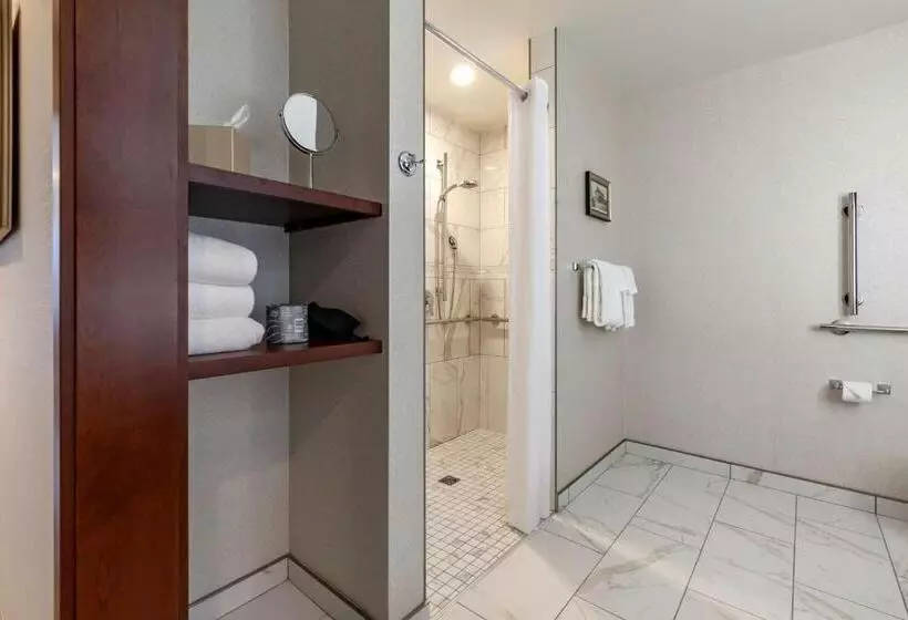 سوئیت برای معلولان, Best Western Premier Park