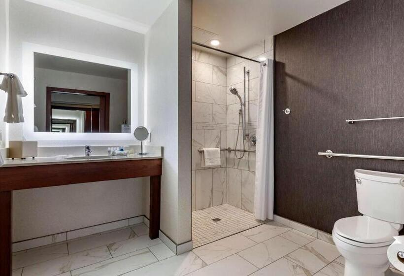 Номер Стандарт Кровать Кинг Адаптированный для Инвалидов, Best Western Premier Park
