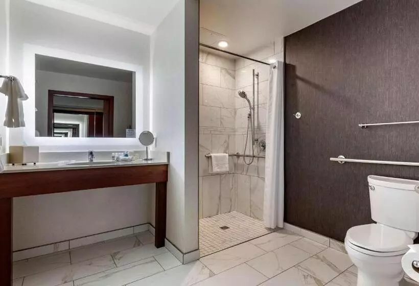 اتاق استاندارد با تخت بزرگ برای معلولان, Best Western Premier Park