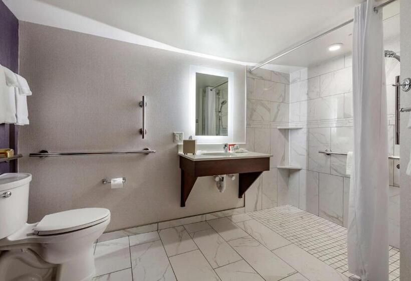 장애인을 위한 스탠다드 룸, Best Western Premier Park