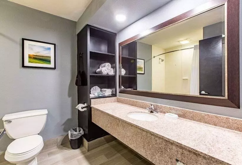 ２ダブルベッドのスタンダードルーム, Best Western Rochester Hotel Mayo Clinic Area/ St. Mary S