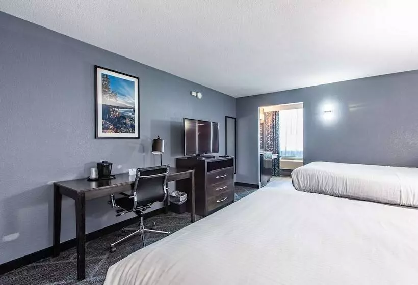 ２ダブルベッドのスタンダードルーム, Best Western Rochester Hotel Mayo Clinic Area/ St. Mary S