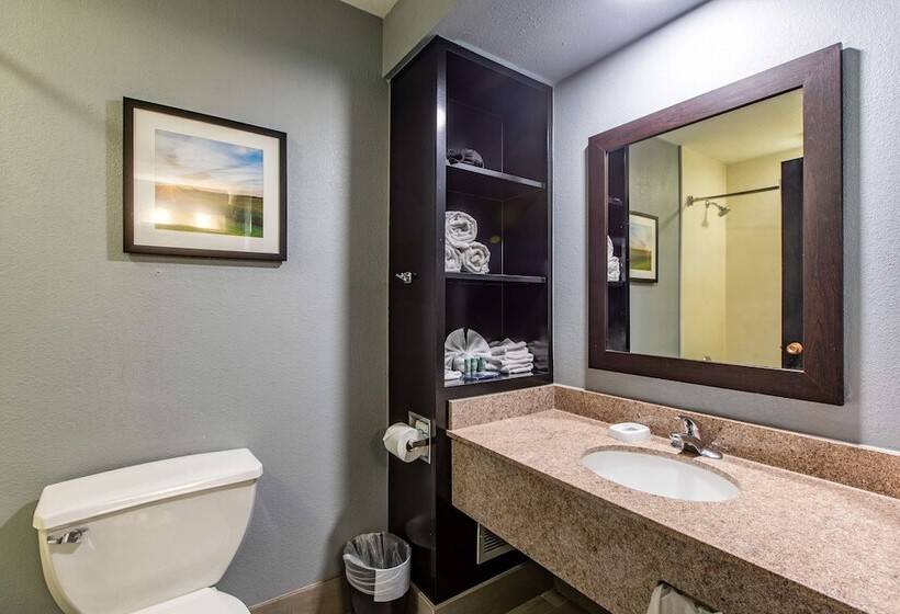 带2个双人床的标准工作室, Best Western Rochester Hotel Mayo Clinic Area/ St. Mary S