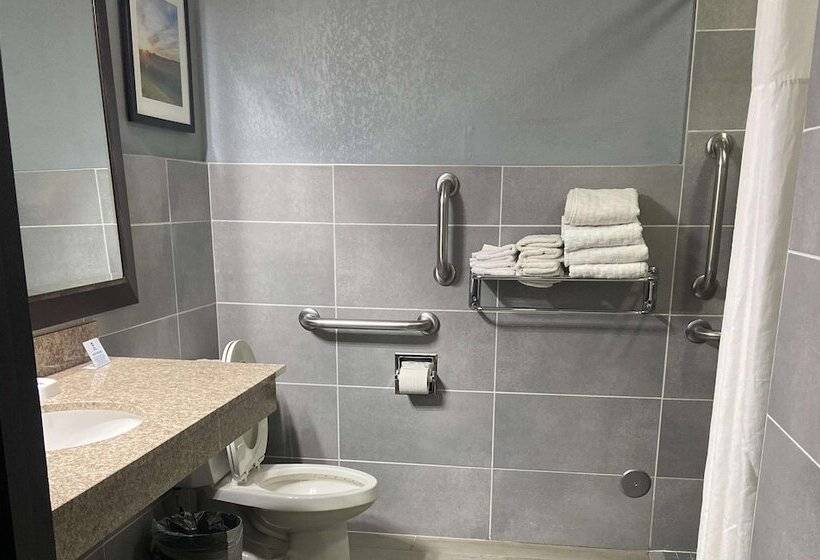 带2个双人床的标准工作室, Best Western Rochester Hotel Mayo Clinic Area/ St. Mary S