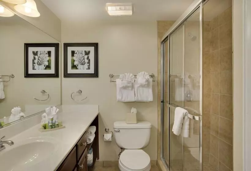 سوئیت برای معلولان, Bluegreen Vacations Patrick Henry Square, An Ascend Collection Resort