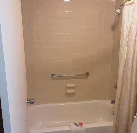 스탠다드 룸, Econo Lodge Inn & Suites