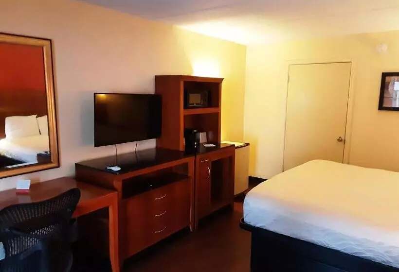 キングサイズベッドのスイートルーム, Econo Lodge Inn & Suites