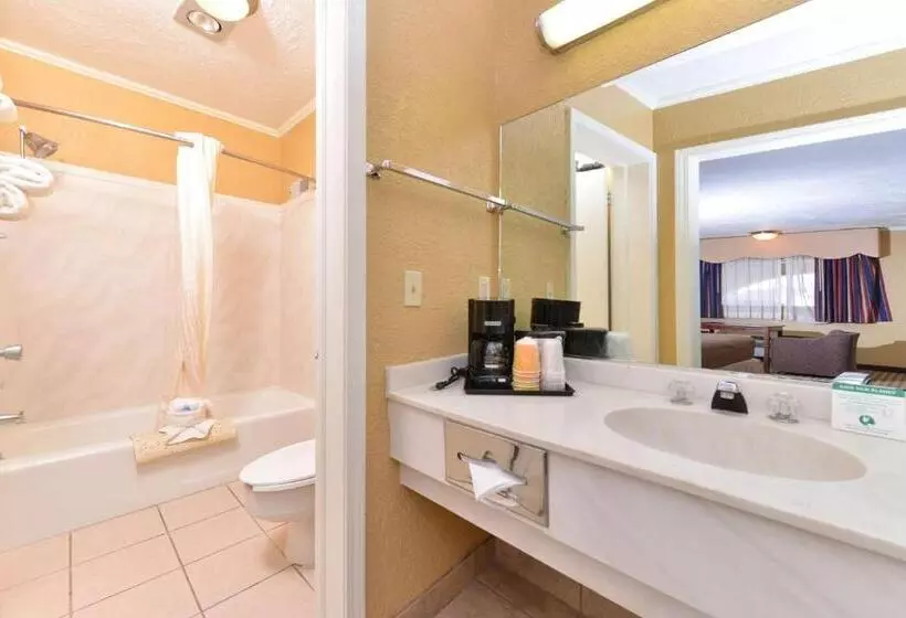 キングサイズベッドのデラックスルーム, Executive Plus Inn And Suites