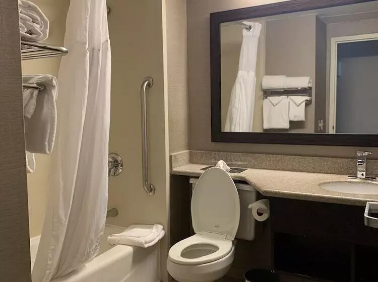 スタンダードルーム, Holiday Inn Wilkes Barre   East Mountain, An Ihg