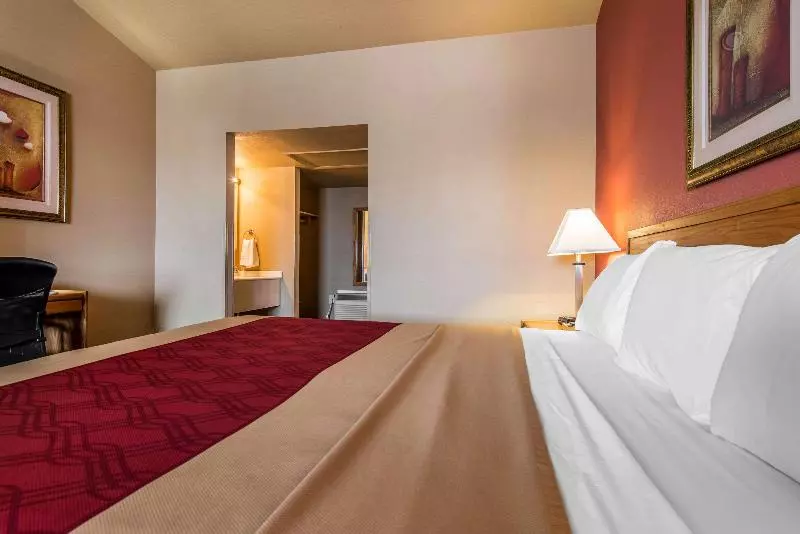 キングサイズベッドのスタンダードルーム, Rodeway Inn