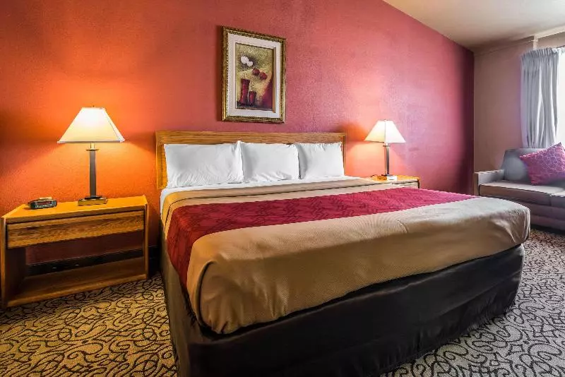 キングサイズベッドのスタンダードルーム, Rodeway Inn