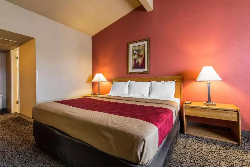 キングサイズベッドのスタンダードルーム, Rodeway Inn