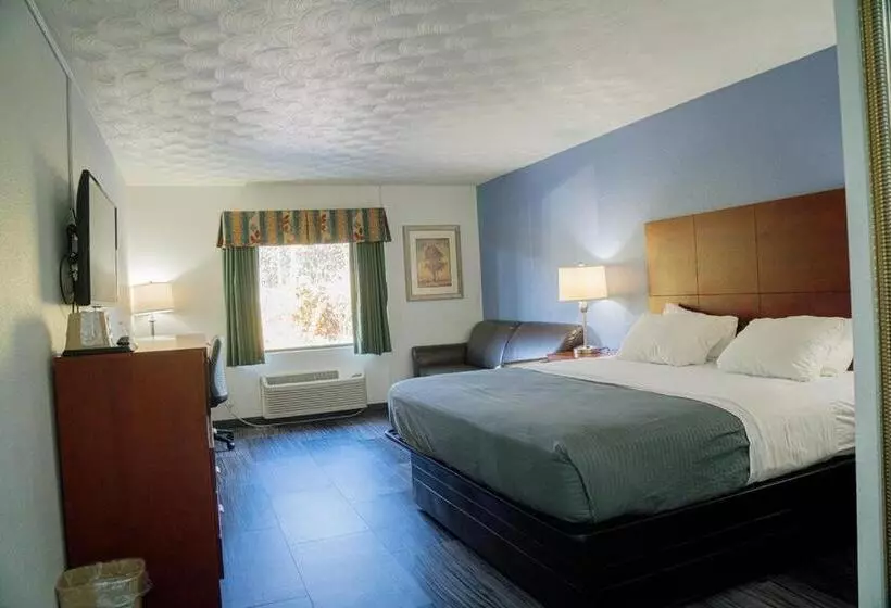 اتاق لوکس با تخت بزرگ, Royal Inn & Suites