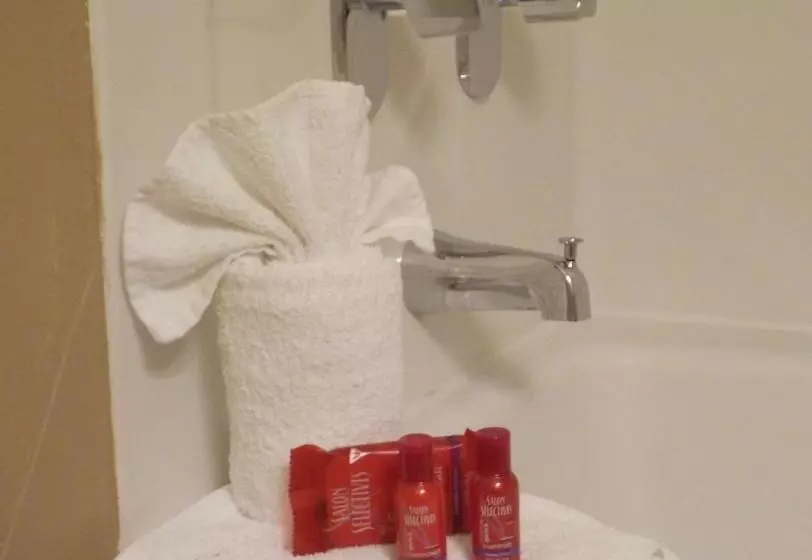 スタンダードルーム, Surestay  By Best Western Cameron