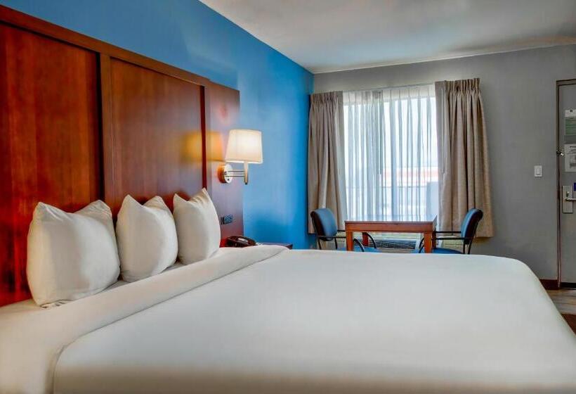 带大床的标准间, Motel 6 Willcox, Az