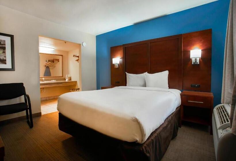 スタンダードルーム, Motel 6 Willcox, Az