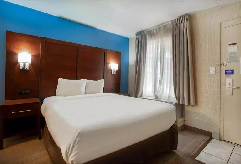 Standard-huone, Motel 6 Willcox, Az