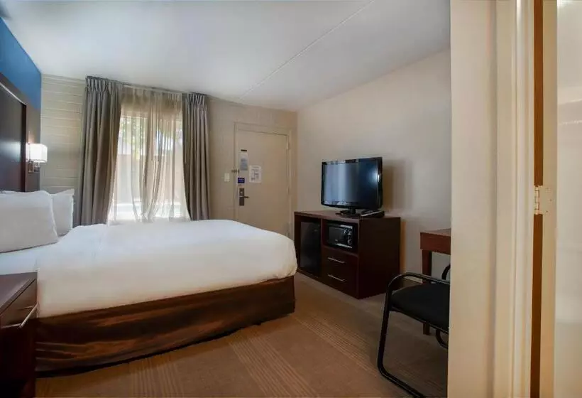 Standard-huone, Motel 6 Willcox, Az