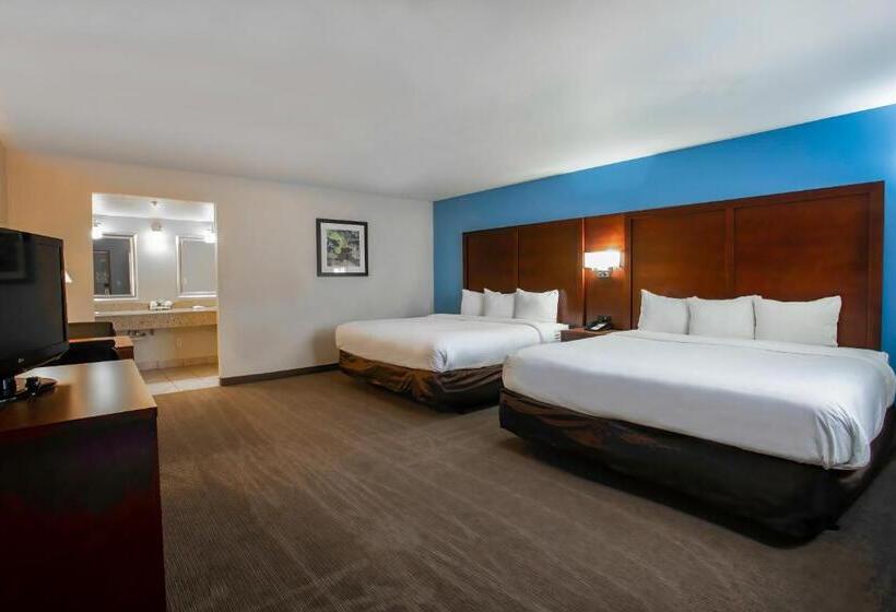 标准间, Motel 6 Willcox, Az