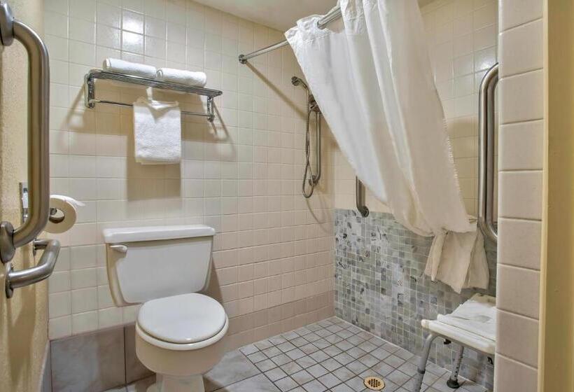 غرفة قياسية لذوى الاحتياجات الخاصة, Motel 6 Willcox, Az