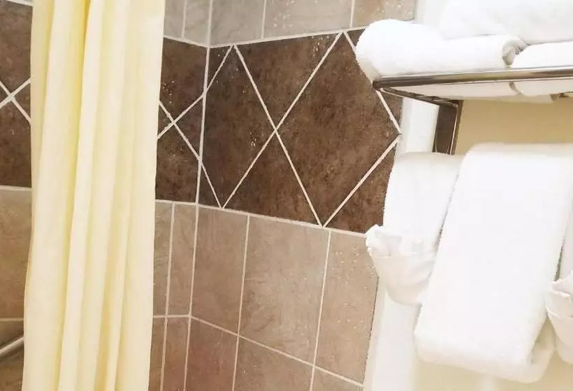 Standard Værelse, Magnuson Hotel Ely