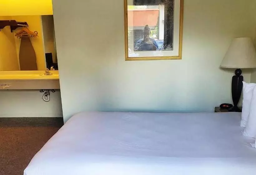 Standard Værelse, Magnuson Hotel Ely