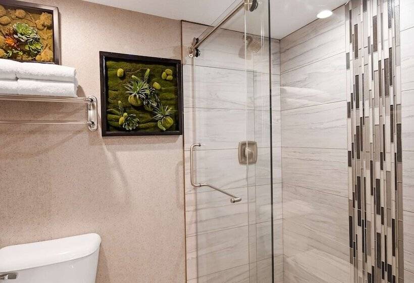 غرفه قياسيه سريرين مزدوجين, Aiden By Best Western St George