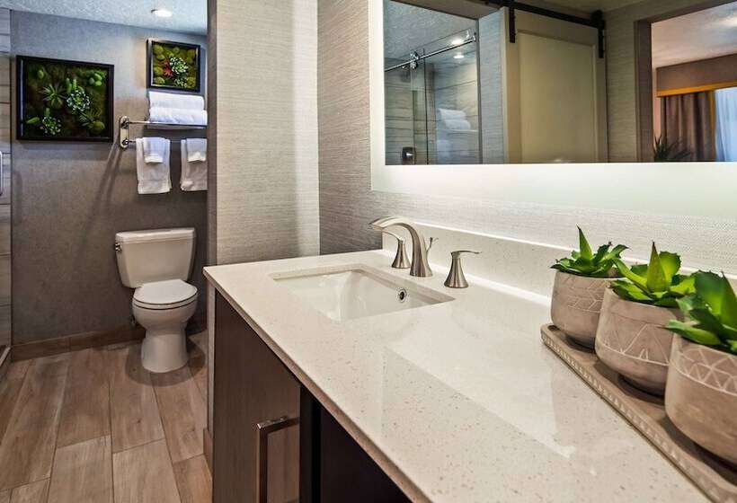 غرفه قياسيه سريرين مزدوجين, Aiden By Best Western St George