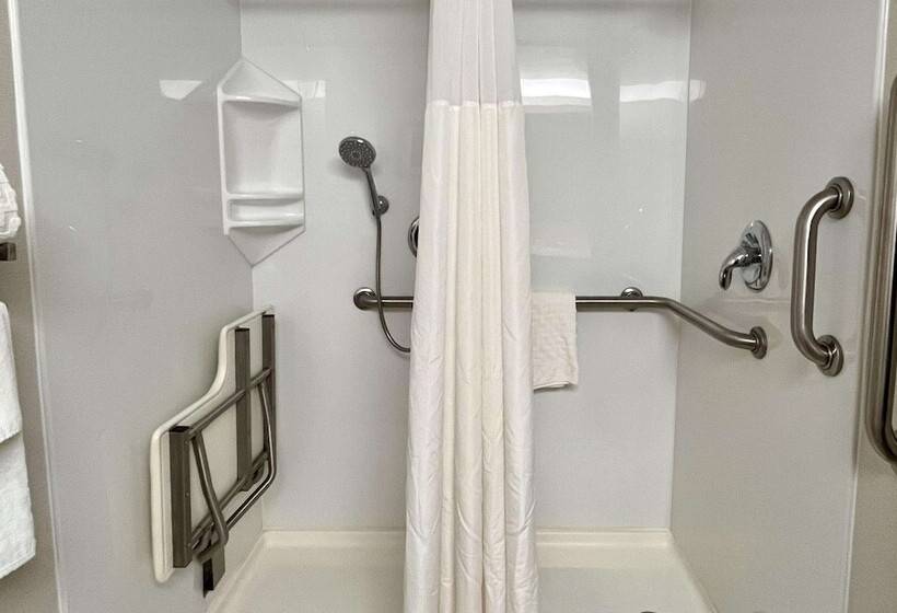 스위트, Best Western Okemos/east Lansing Hotel & Suites