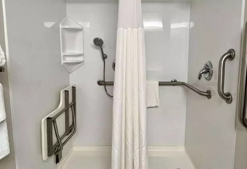 スイート, Best Western Okemos/east Lansing Hotel & Suites