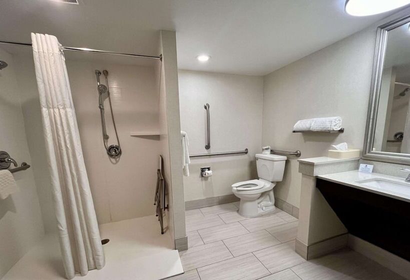 جناح, Best Western Okemos/east Lansing Hotel & Suites