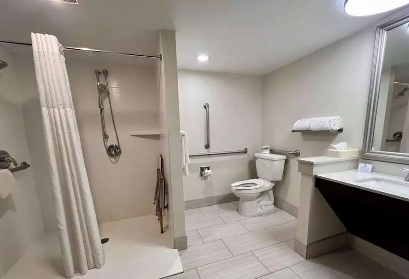 スイート, Best Western Okemos/east Lansing Hotel & Suites