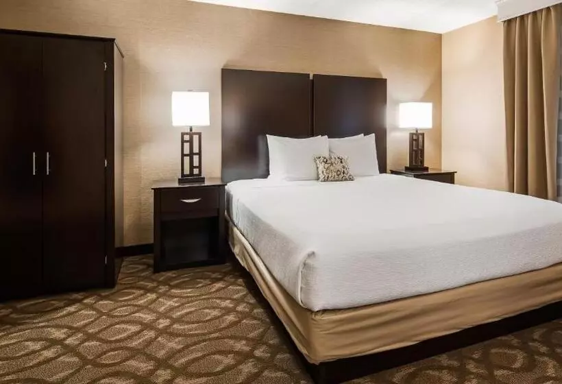 キングサイズベッドのスタンダードルーム, Best Western Okemos/east Lansing Hotel & Suites