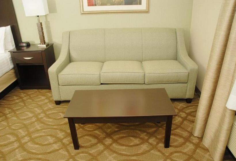 스탠다드 룸 킹사이즈 침대, Best Western Okemos/east Lansing Hotel & Suites