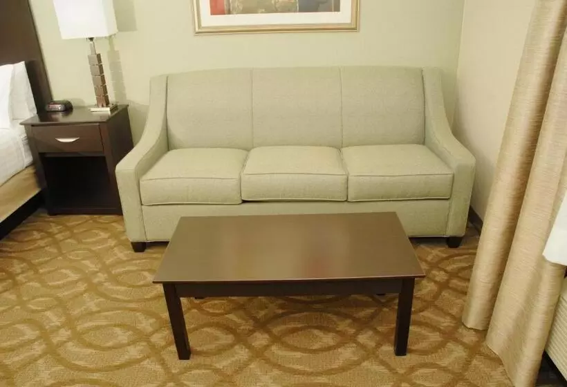 キングサイズベッドのスタンダードルーム, Best Western Okemos/east Lansing Hotel & Suites