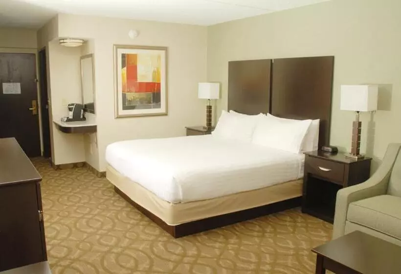 キングサイズベッドのスタンダードルーム, Best Western Okemos/east Lansing Hotel & Suites