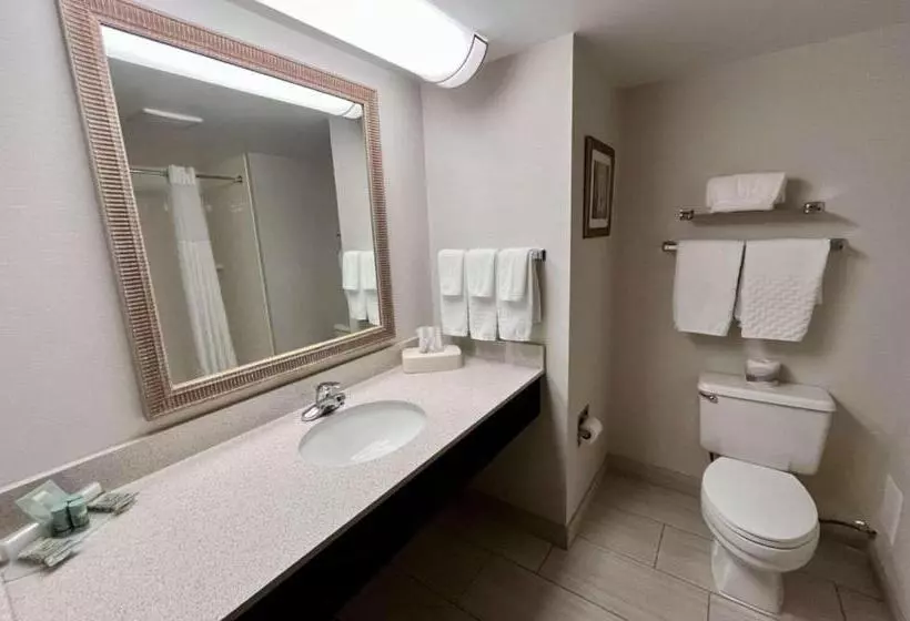 キングサイズベッドのスタンダードルーム, Best Western Okemos/east Lansing Hotel & Suites