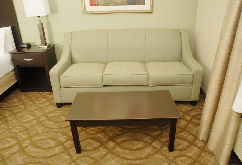 غرفة قياسية سرير كينج, Best Western Okemos/east Lansing Hotel & Suites