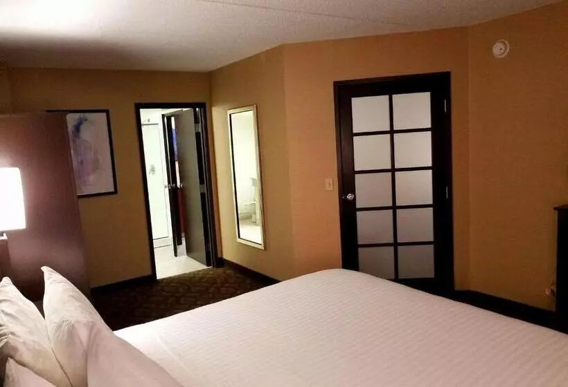 キングサイズベッドのスイートルーム, Best Western Okemos/east Lansing Hotel & Suites
