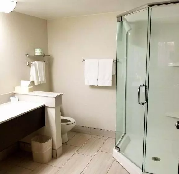 クイーンサイズベッドのスイートルーム, Best Western Okemos/east Lansing Hotel & Suites