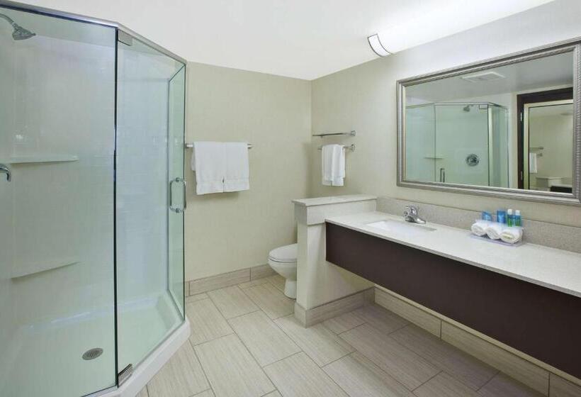 جناح سرير ملكى, Best Western Okemos/east Lansing Hotel & Suites