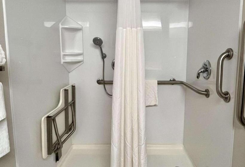 장애인을 위한 스탠다드 룸, Best Western Okemos/east Lansing Hotel & Suites
