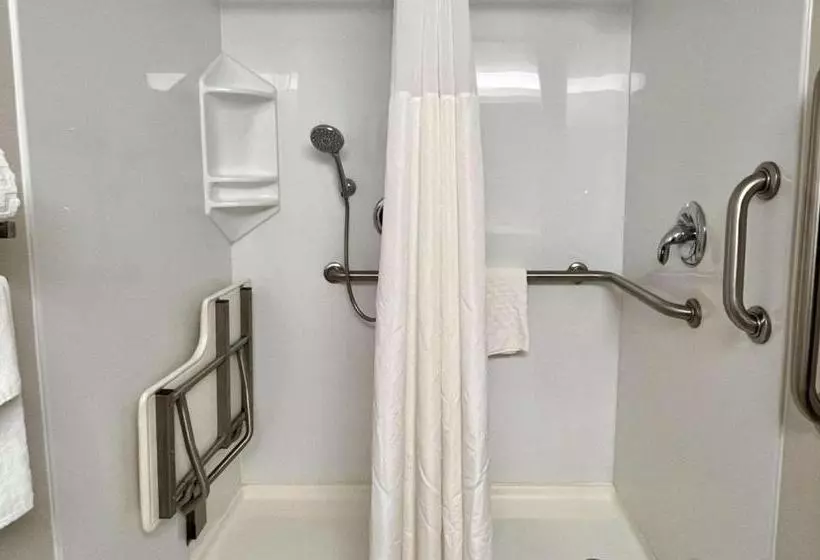 身障者適用スタンダードルーム, Best Western Okemos/east Lansing Hotel & Suites