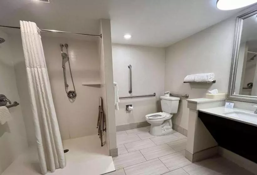 身障者適用スタンダードルーム, Best Western Okemos/east Lansing Hotel & Suites