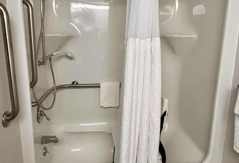 غرفة قياسية لذوى الاحتياجات الخاصة, Best Western Okemos/east Lansing Hotel & Suites