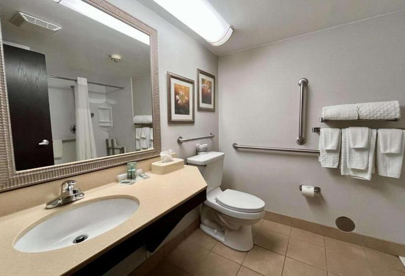 غرفة قياسية لذوى الاحتياجات الخاصة, Best Western Okemos/east Lansing Hotel & Suites